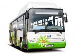 BMC Belde 280CB CNG 2010 года